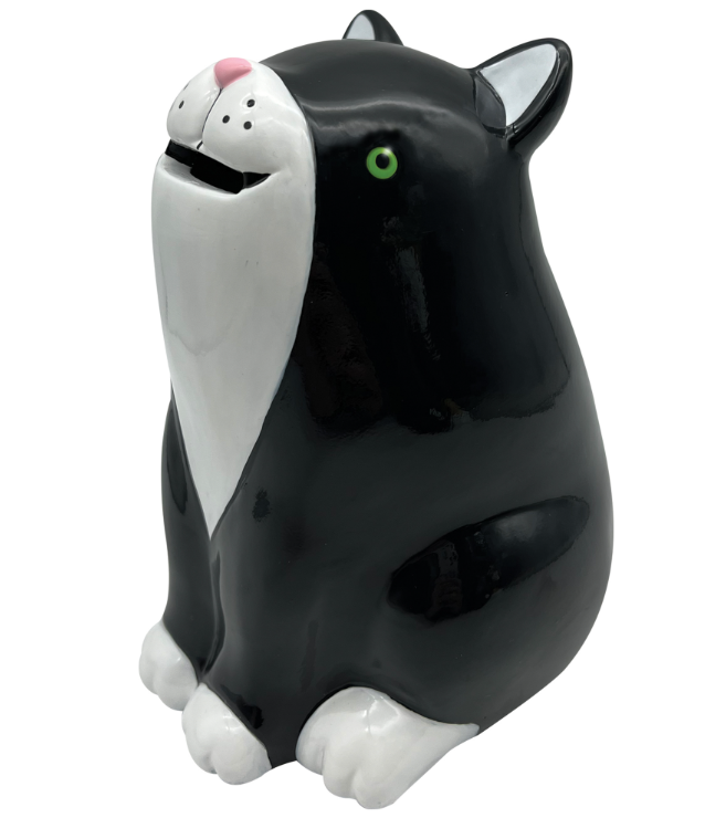 Coin Bank Put It In The Kitty