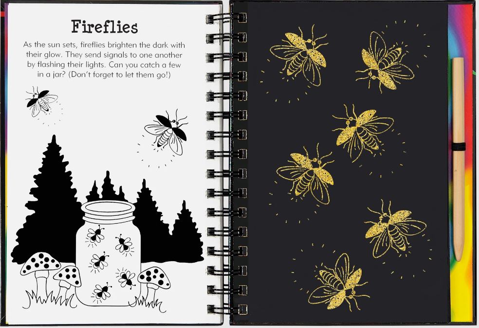 Scratch And Sketch Trace Along Activity Book Sparkle