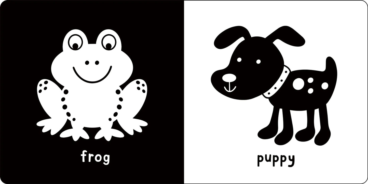 First Board Book High Contrast What Does Baby See?