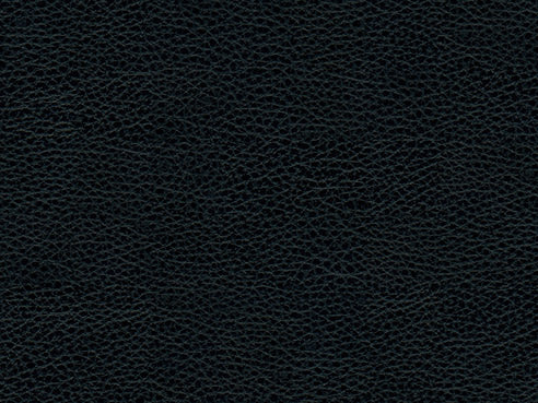 Trevin Sofa Leather Polyurethane Match Navy Dark Walnut Leg