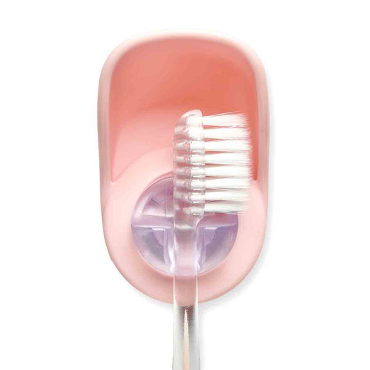 Toothbrush Holder - Blush