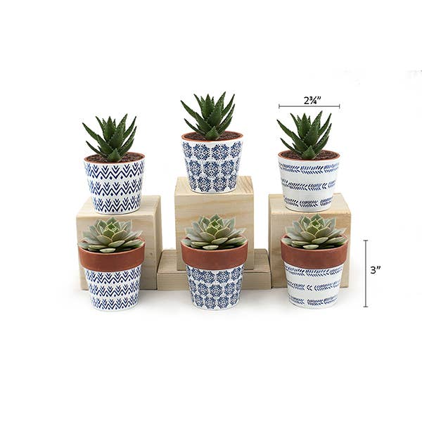 Mini Pots Blue and white