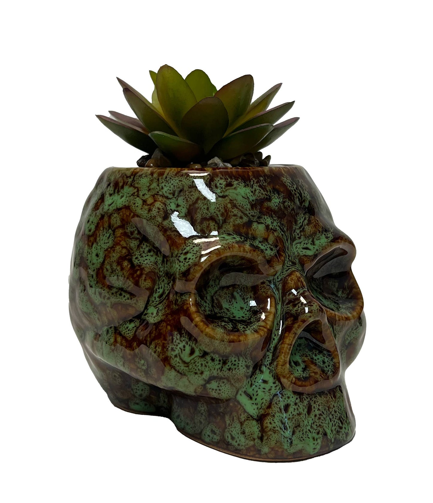 Skull Planter & Storage