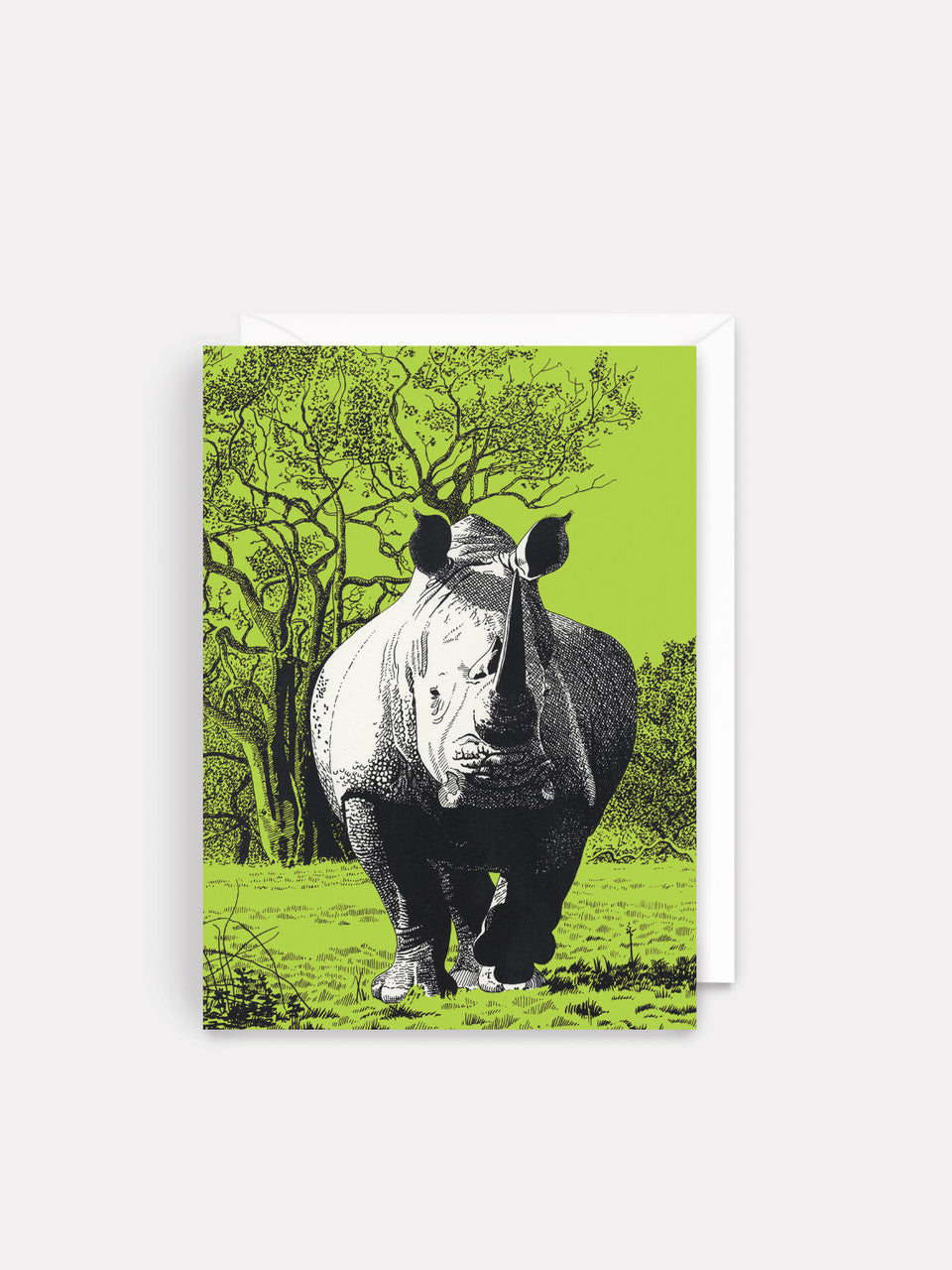 Blank - White Rhinoceros