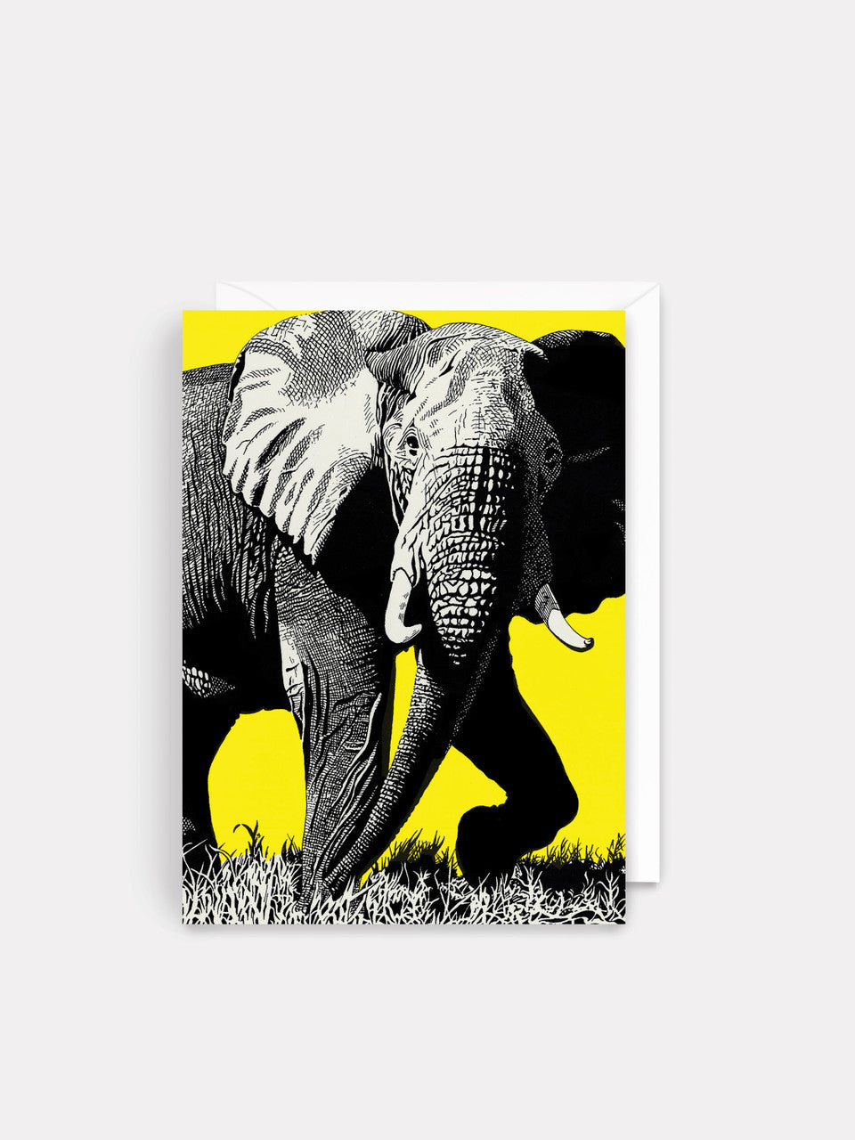 Blank - Elephant Solo