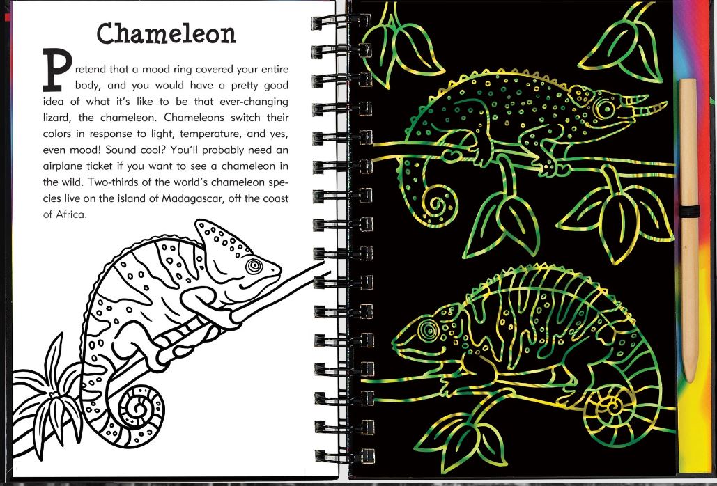 Scratch And Sketch Trace Along Activity Book Rainforest