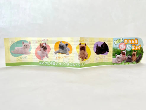 Gashapon Capsule For All Ages French Bulldog (Sold As An Individual Capsule)