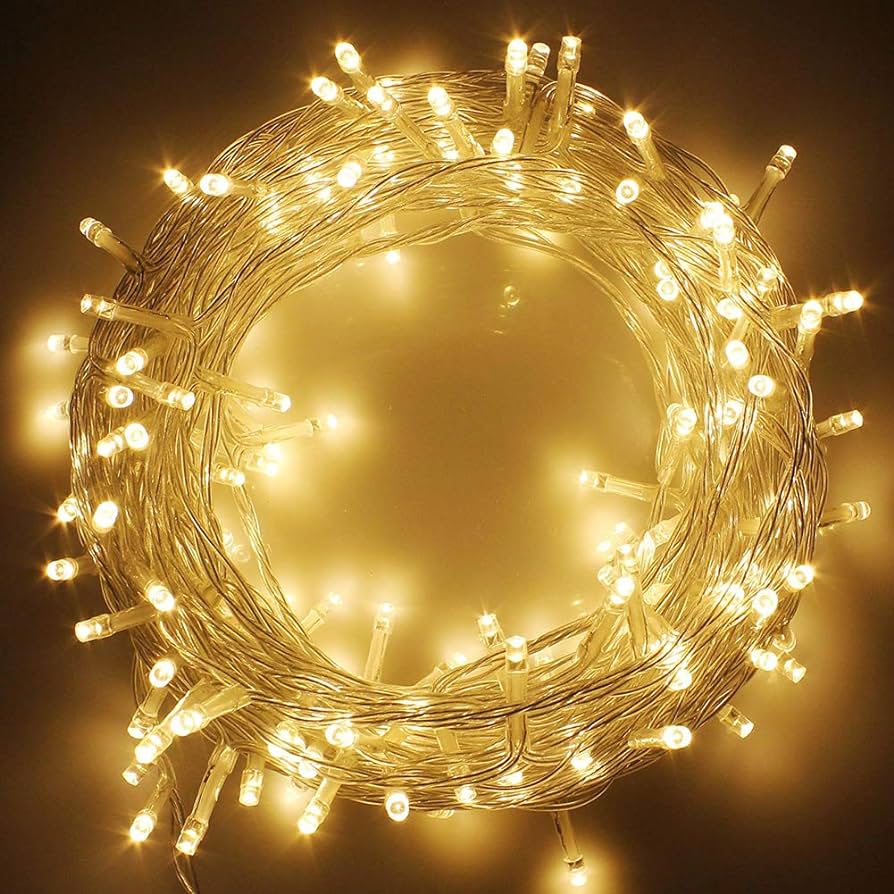 String Light - Warm White 100 LED Clear String Plug