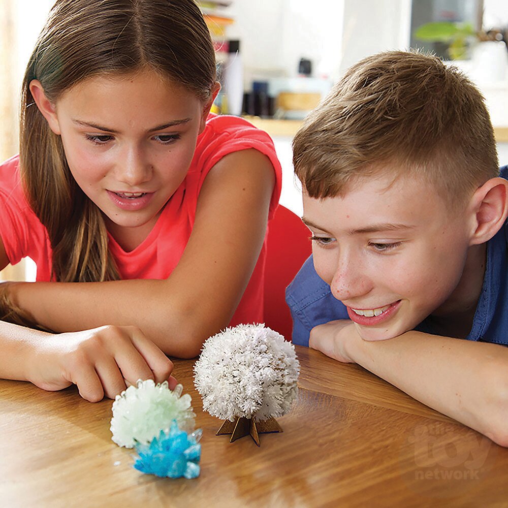 4M KidzLabs Crystal Science Kit