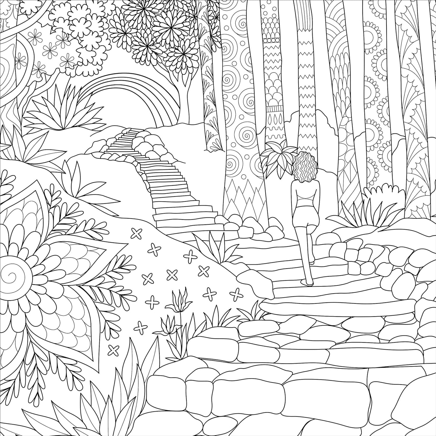 Artist's Adult Coloring Book Boho Dreams
