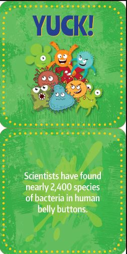 Noteworthy Card Deck Lunch Box Notes Gross Facts