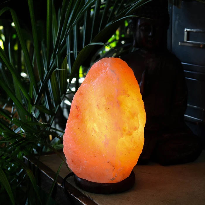 Himalayan Salt Lamp - Large 11LBS