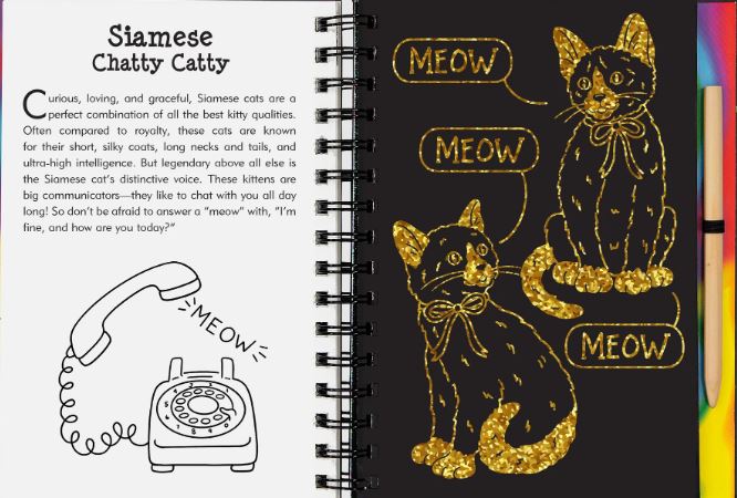 Scratch And Sketch Trace Along Activity Book Kittens