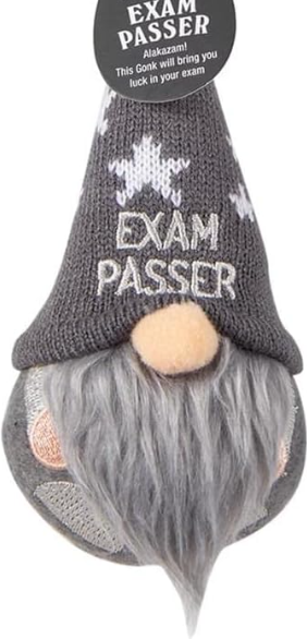 Lucky Gnomes Exam Passer