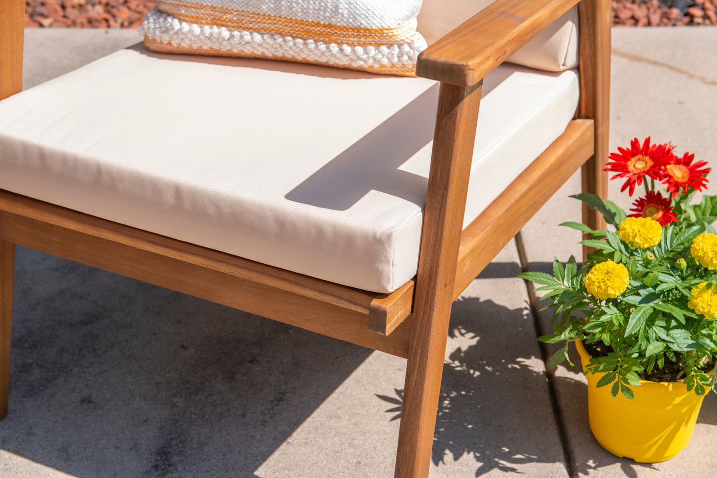 Cosgrove Acacia Wood Outdoor Chair with Natural Cushion