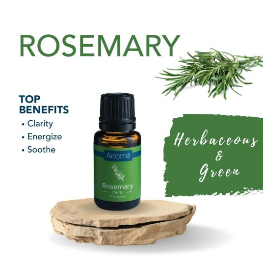 Essential Oil - 15mL - Rosemary