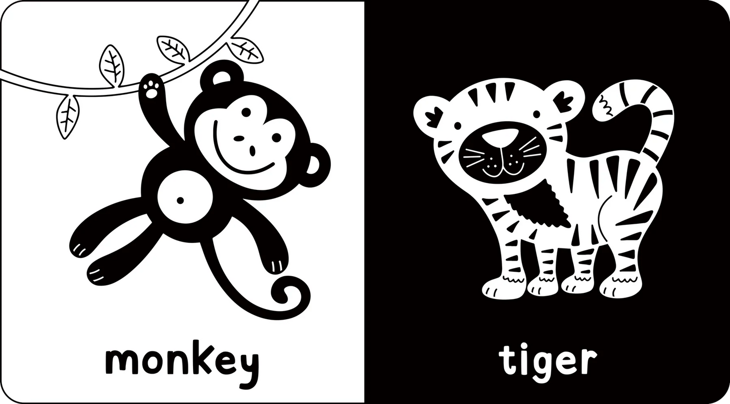 My Little Black & White Board Book Library