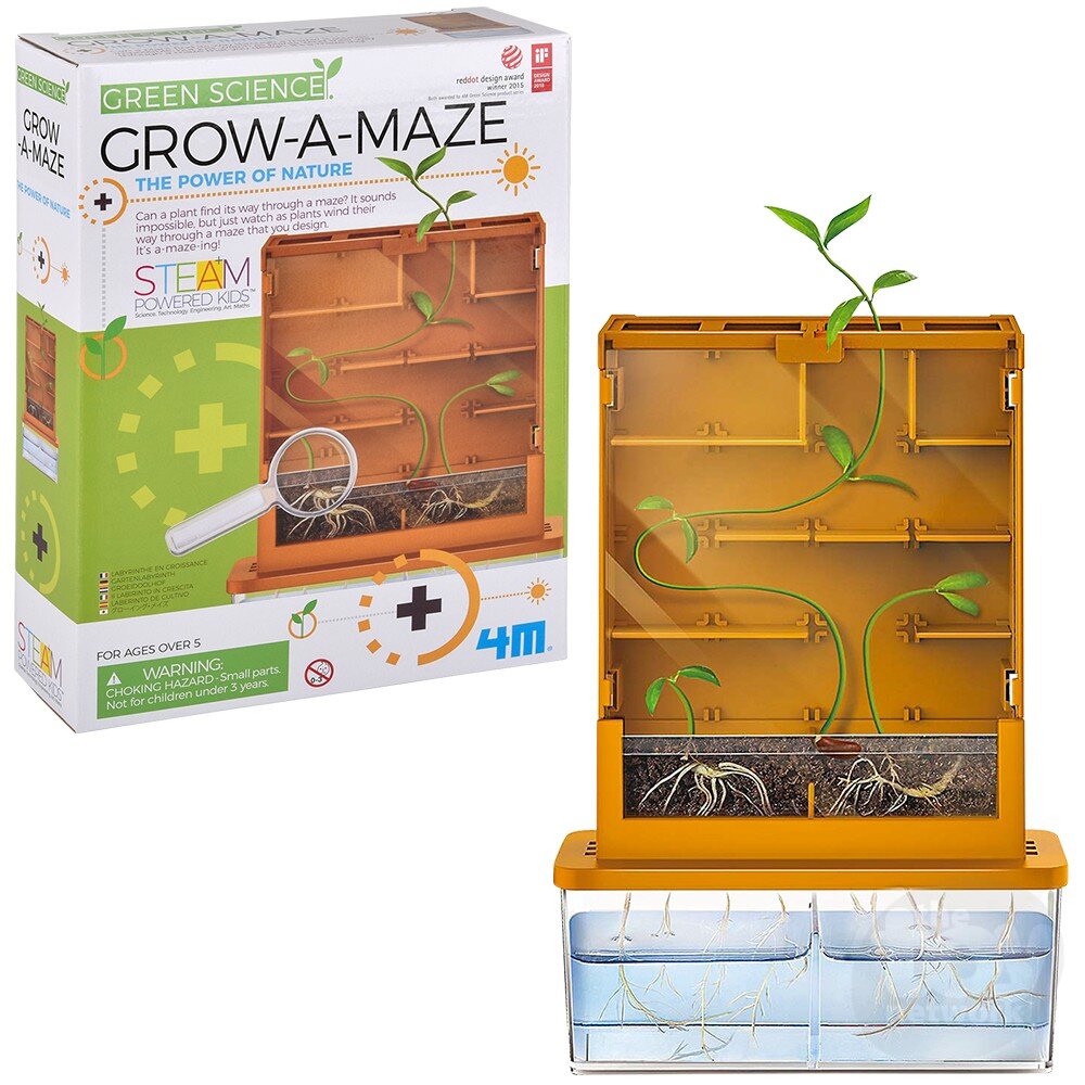 4M Green Science Kit Grow-A-Maze