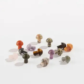 Assorted Mini Mushrooms - Sold Individually