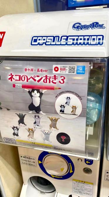 Gashapon Capsule For All Ages Campfire Cats (Sold As An Individual Capsule)