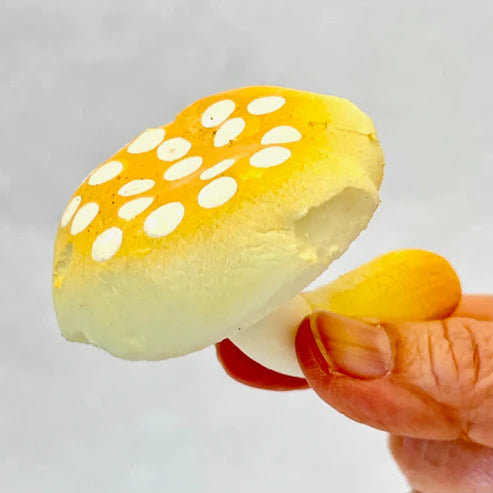 Gashapon Capsule For All Ages Mushrooms (Sold As An Individual Capsule)