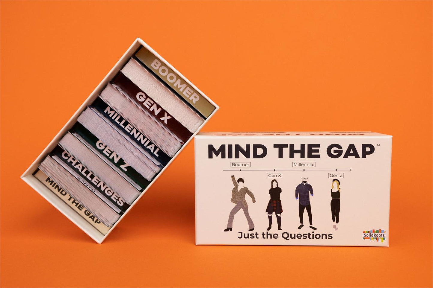Game Mind The Gap Just The Questions