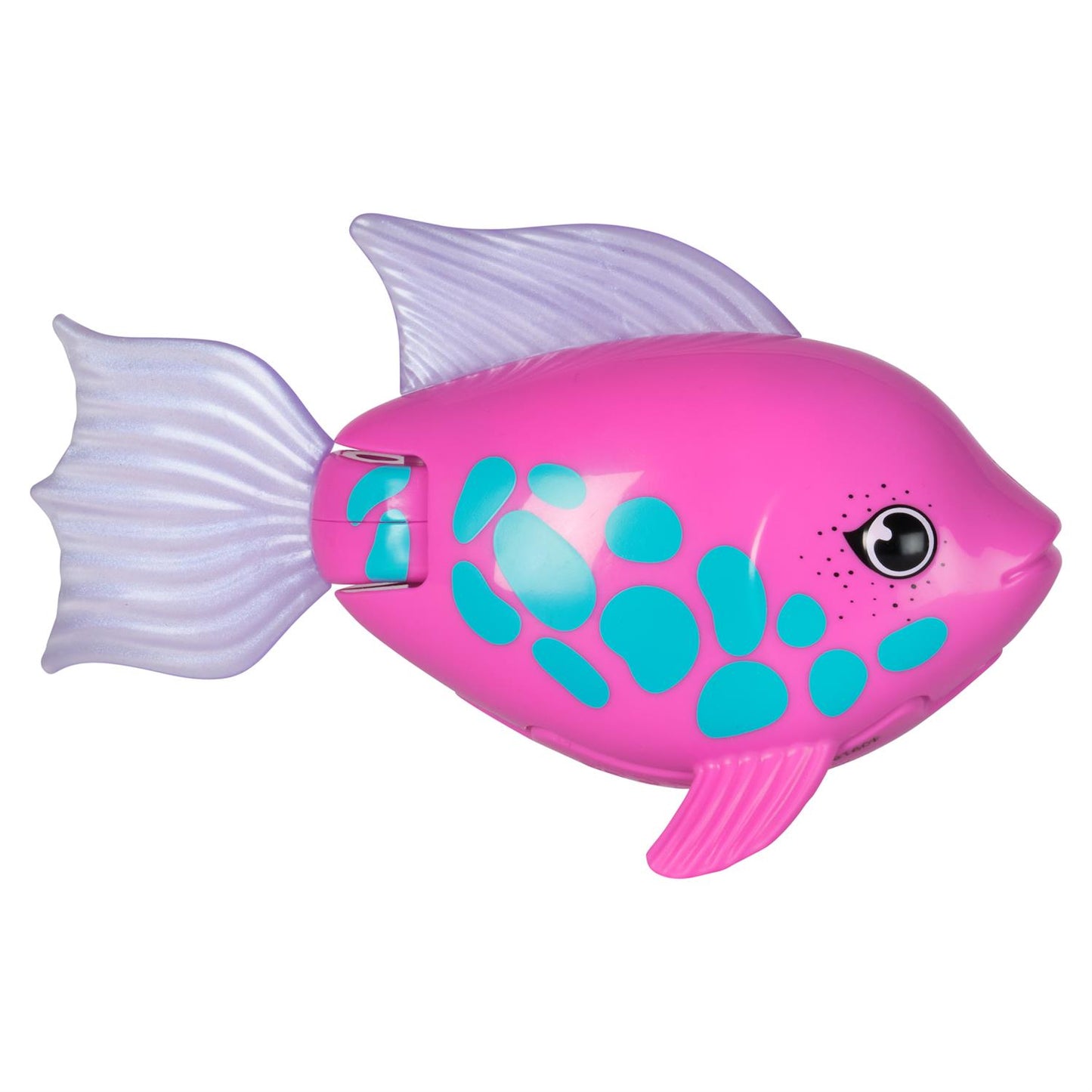 Water Toy Rainbow Reef Fish Assorted (Sold Individually)