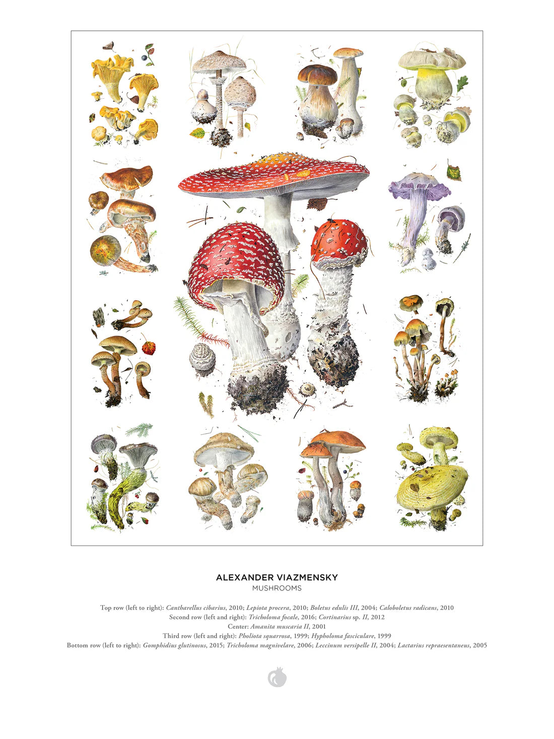 Puzzle 1000 Piece - Alexander Viazmensky - Mushrooms