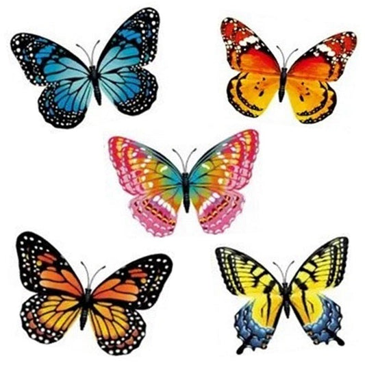 Magnet - Butterfly Glow in the Dark 3D asstd. style & size (Sold Individually)