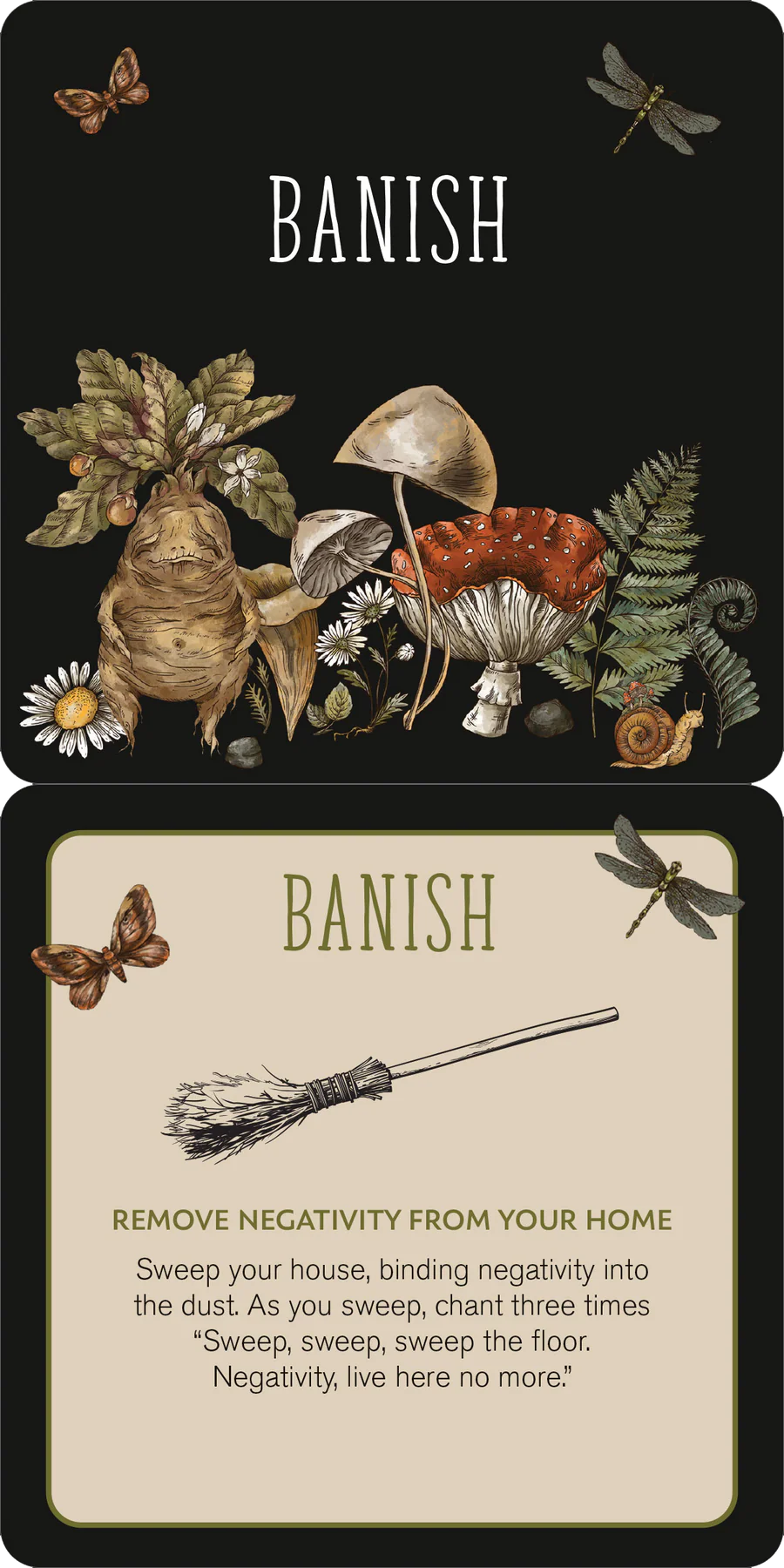 Insight Cards Everyday Spells for Busy Witches