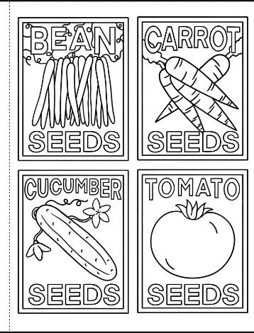 My First Coloring Book On The Farm