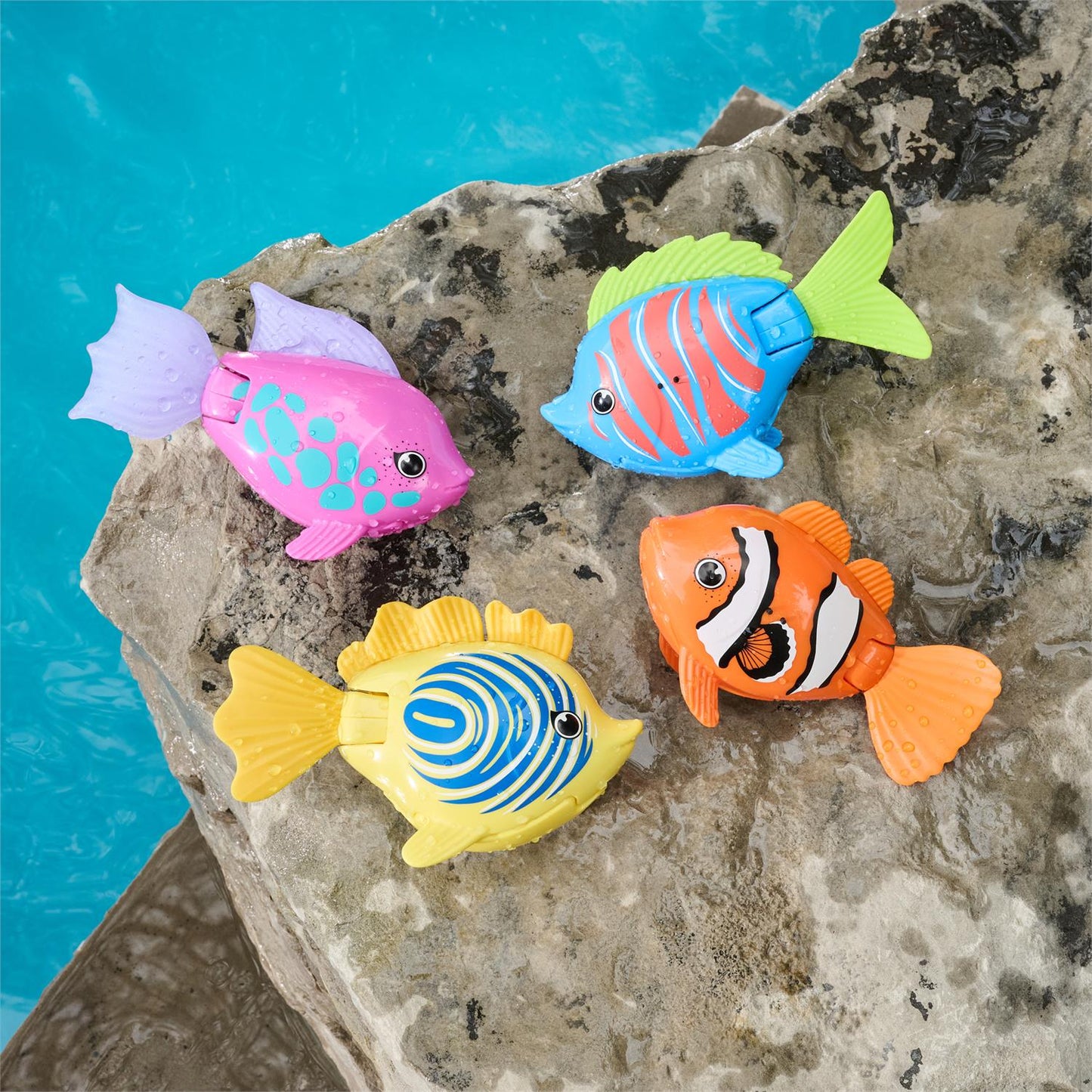 Water Toy Rainbow Reef Fish Assorted (Sold Individually)