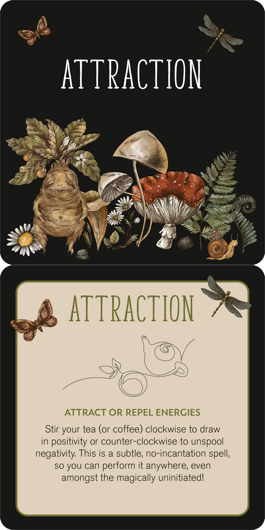 Insight Cards Everyday Spells for Busy Witches