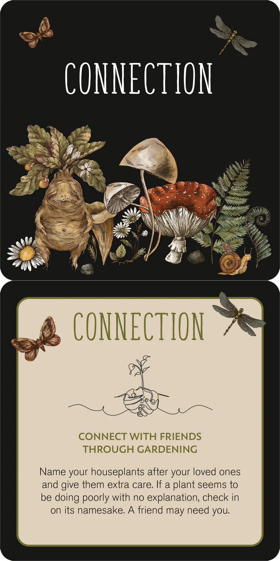 Insight Cards Everyday Spells for Busy Witches