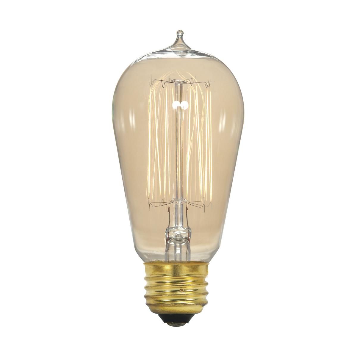 Light Bulb 40 Watt ST19 Incandescent, Edison Style; Filament - Cage Style; Clear; CCT (Kelvin) - 2700K; 160 Lumens; Medium base; 120 Volt
