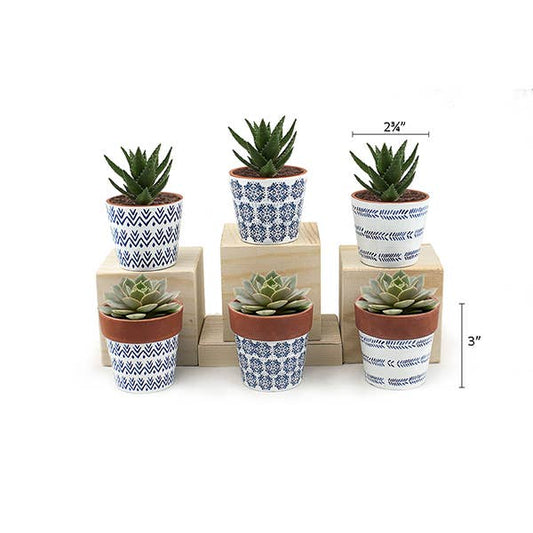 Mini Pots Blue and white