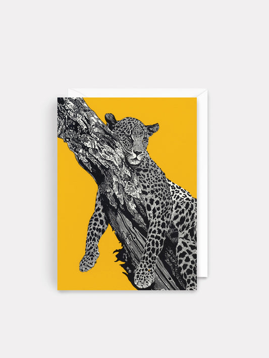 Blank - Sleeping Leopard