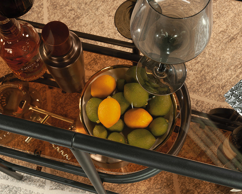 Coral Cape Modern Metal & Glass Bar Cart in Black