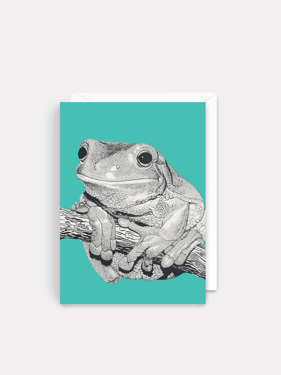 Greeting Card   Blank - Green Tree Frog