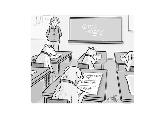 Greeting Card   Any Occasion - Cartoon Collection - Quiz Today