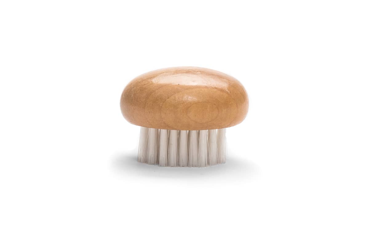 Vegetable Scrub Brush Mushroom