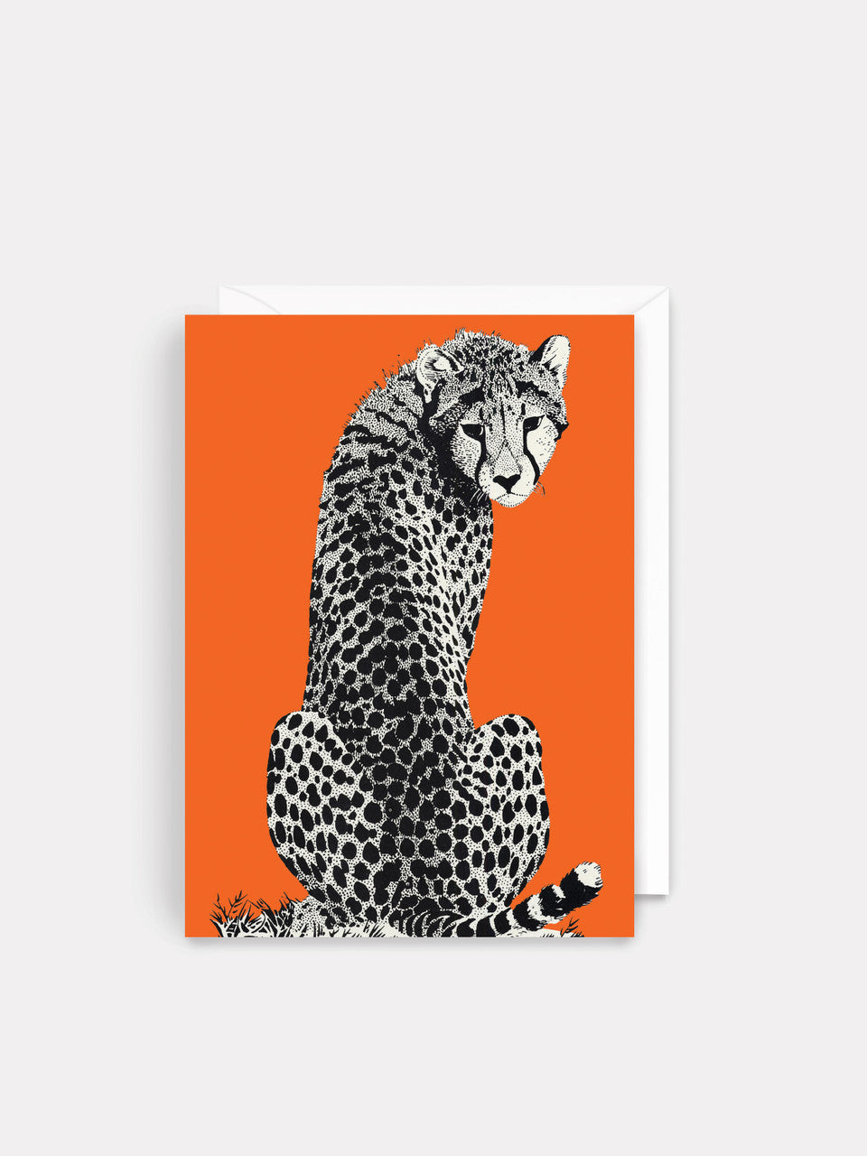 Blank - Cheetah