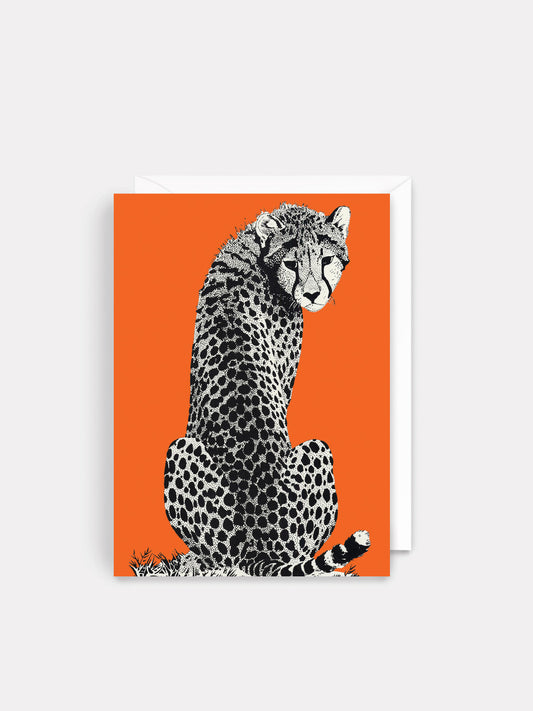 Blank - Cheetah