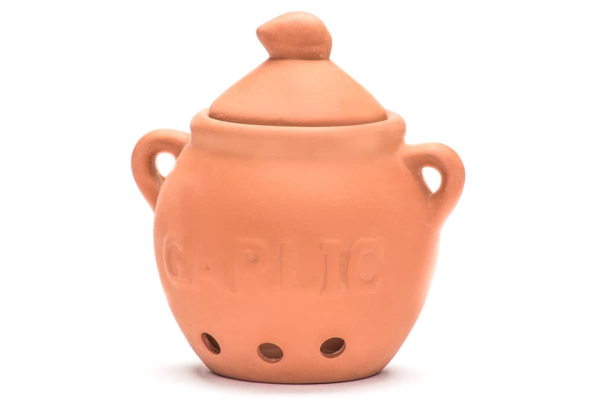 Garlic Keeper Terracotta