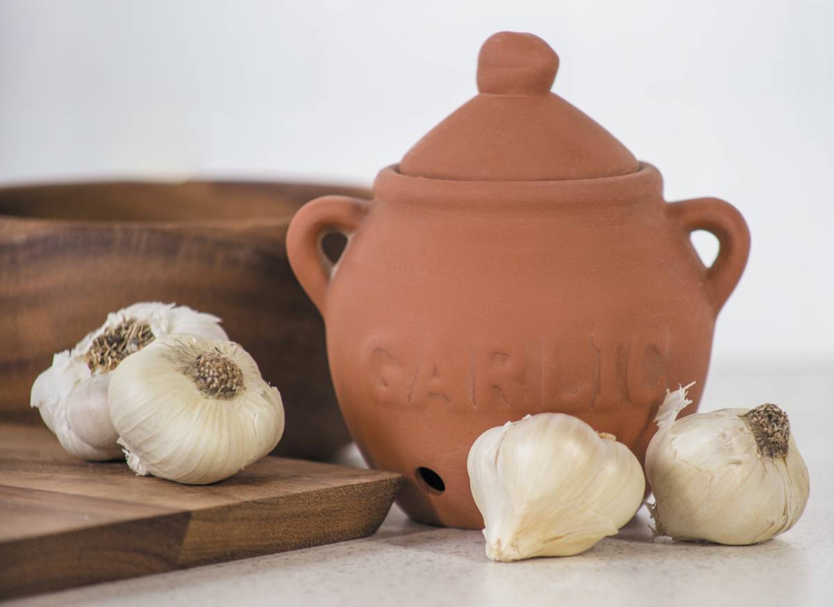 Garlic Keeper Terracotta