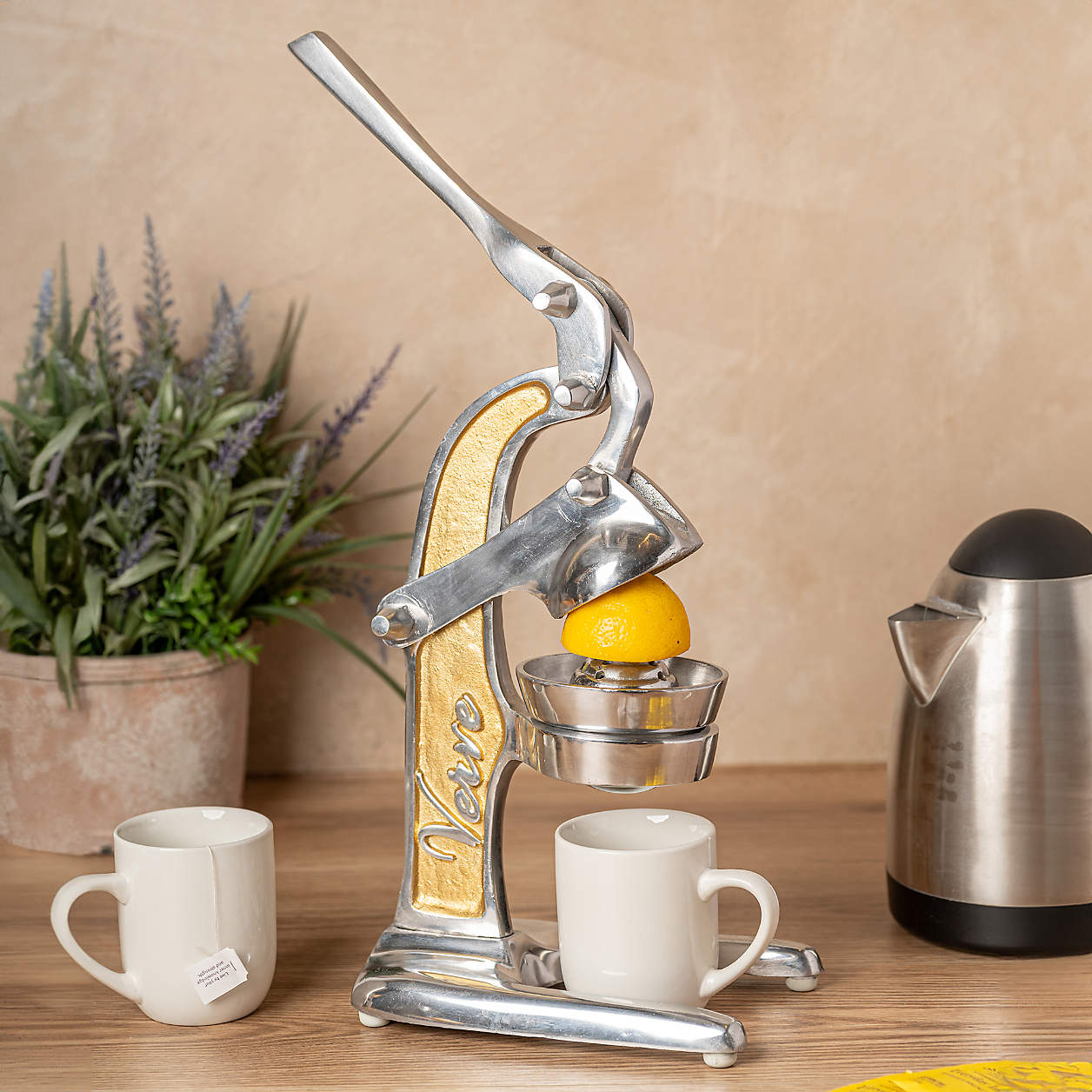 Mexican Citrus Juicer - Small Rose Gold