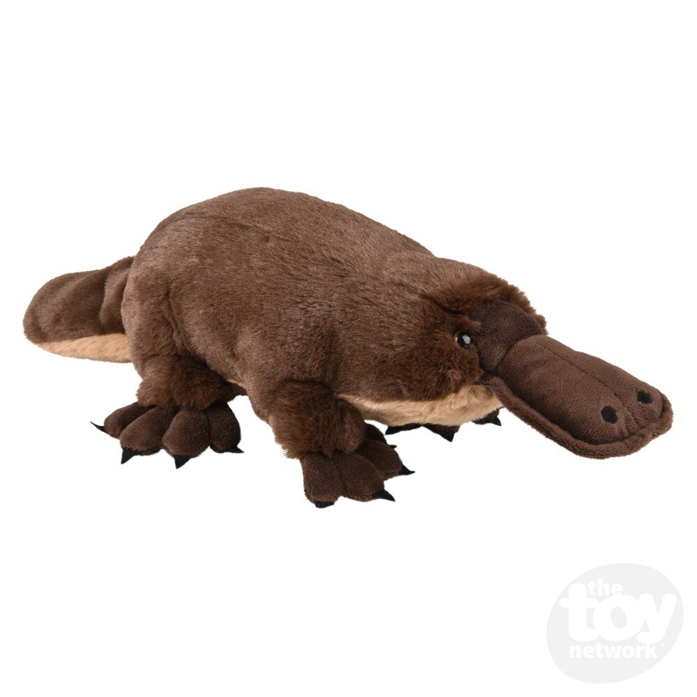 Plush Animal Den Platypus 13"