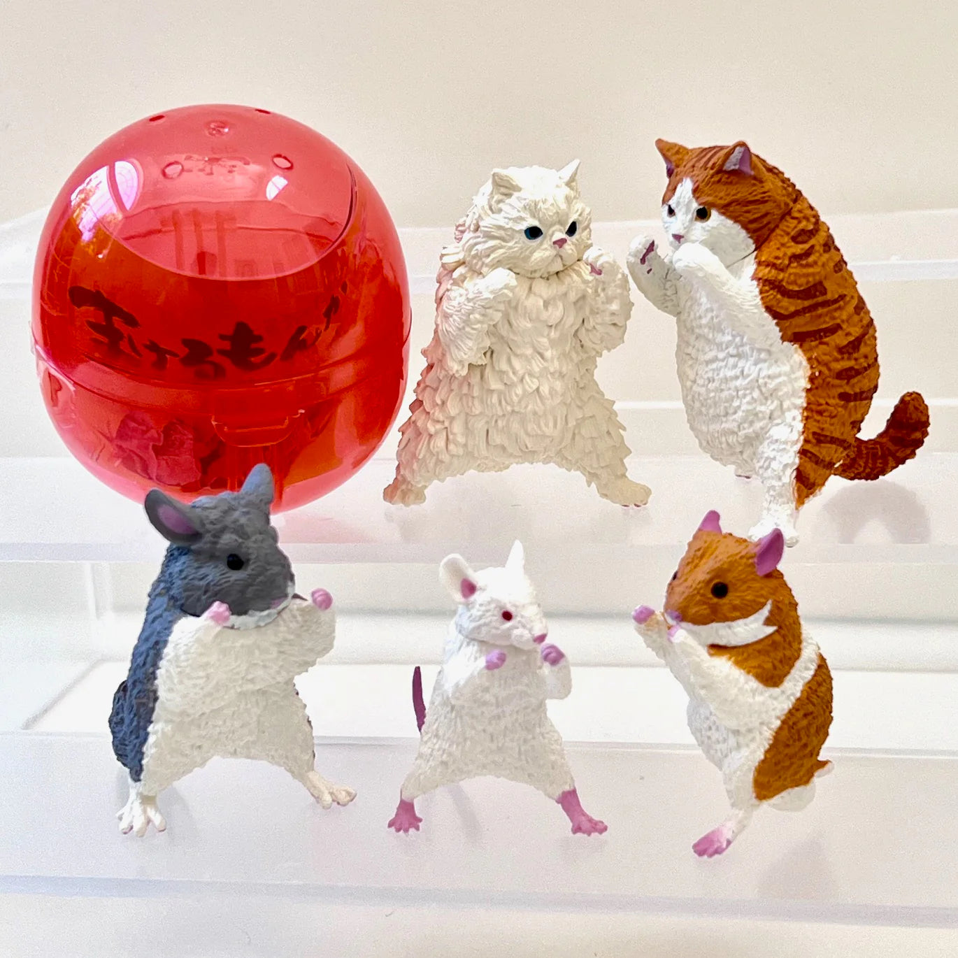 Gashapon Capsule Teen & Up Kung Fu Animals (Sold As An Individual Capsule)