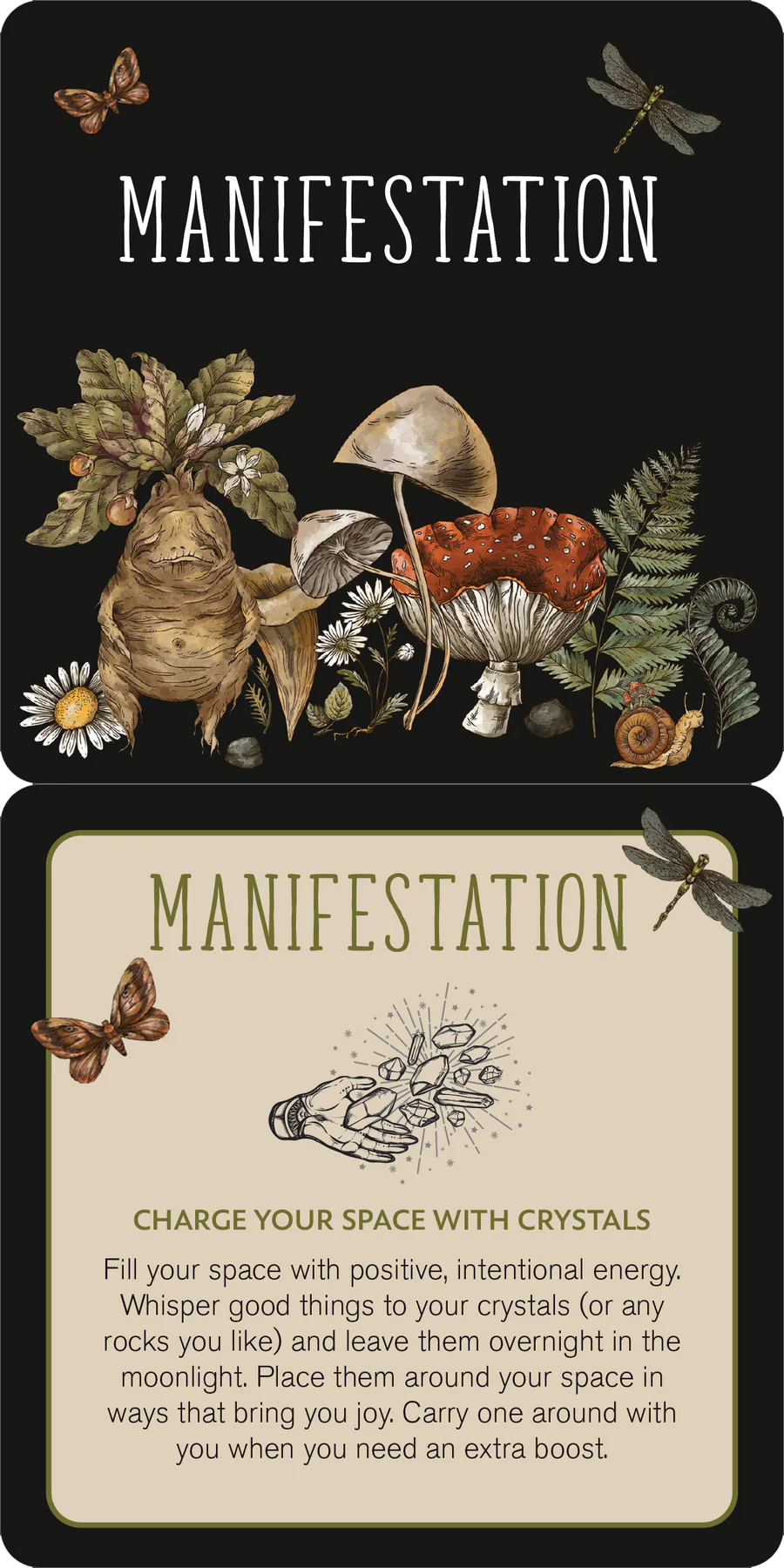 Insight Cards Everyday Spells for Busy Witches