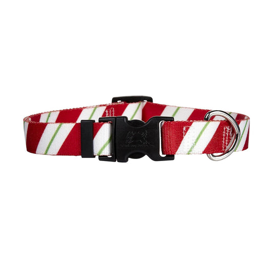 Dog Collar 1in wide Medium 14inch-20inch Peppermint Stick